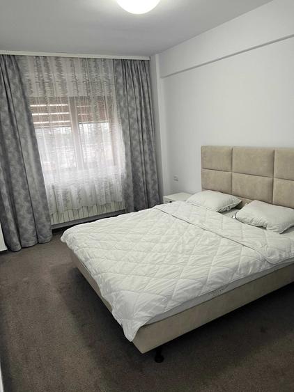 Apartament 2 camere, Bulevardul Dem Radulescu, de inchiriat - 4