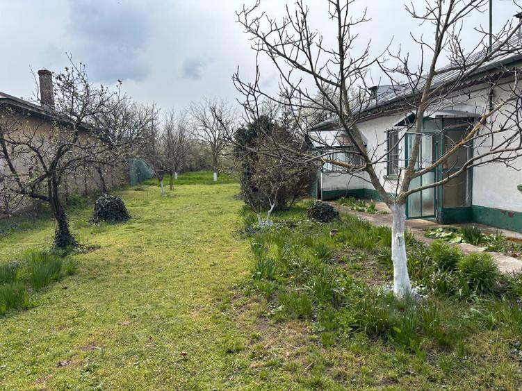 Casa de vanzare in Bulbucata, Giurgiu 30 km de Bucuresti - 6