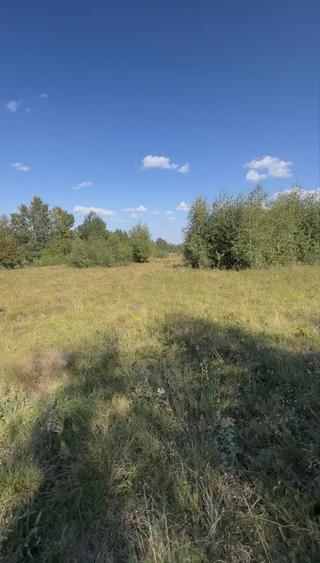 Teren de 5003 mp, în Poiana