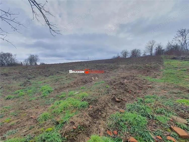 Teren de 13400 mp, în Izvoarele