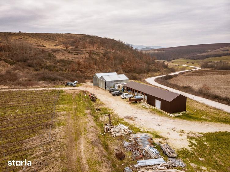 Teren de 115 mp, în Târnova