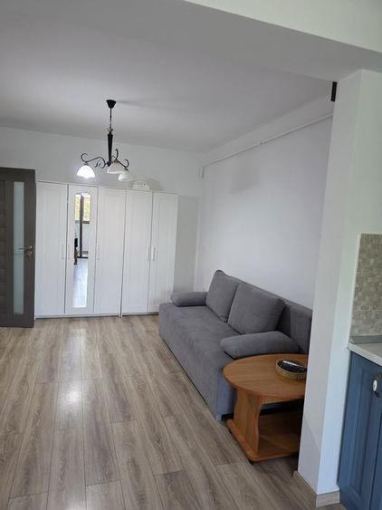 Apartament cu 2 camere semidecomandat, mobilat în Tătărași