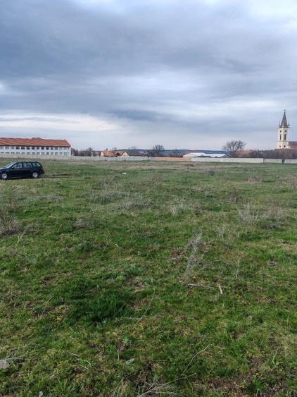 Teren de 2600 mp, în Apoldu de Sus