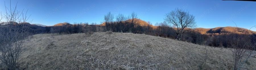 Teren de 4000 mp, în Gurguiata