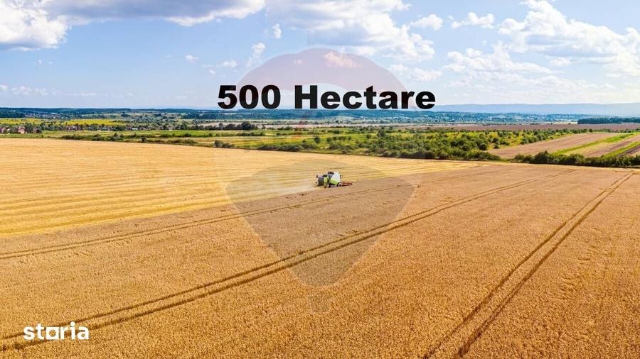 Teren de 5000000 mp, în Slobozia Ciorăști