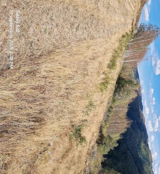 Teren de 7700 mp, în Mărișel