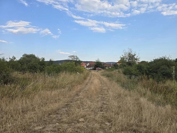 Teren intravilan (loc de casa afacere) la drumul principal in Sebis Arad - 1