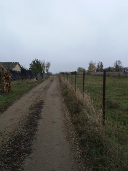Teren Construcții extravilan de 3400 mp, în Sud