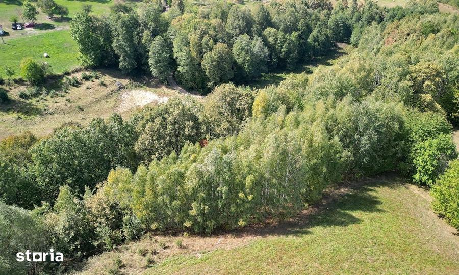 Teren de 10000 mp, în Bran