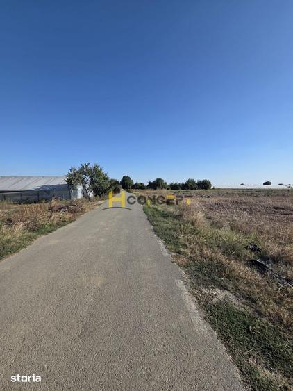 Teren de 10000 mp, în Colibași