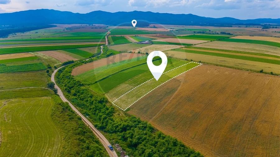 Teren agricol extravilan de 10800 mp, în Rotbav
