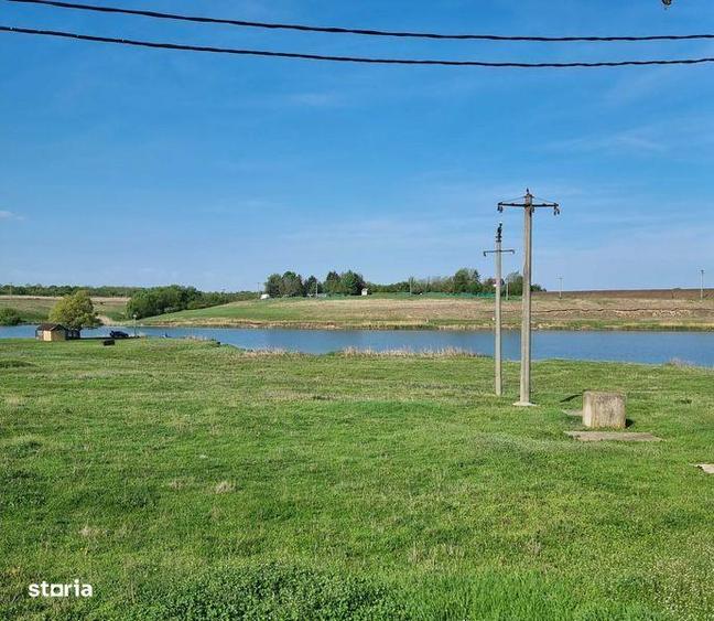 Teren de 4800 mp, în Tămădău Mare