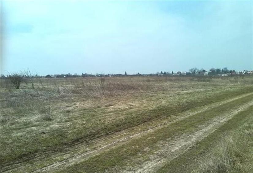 Teren de 600 mp, în Balotești