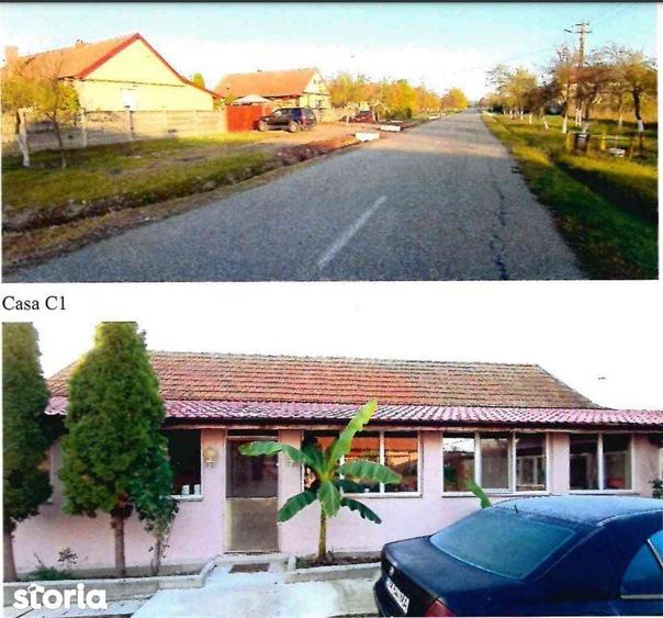 2 Case P - 123mp + 70mp + Teren-2.302 mp + Anexe, Sanovita - 3