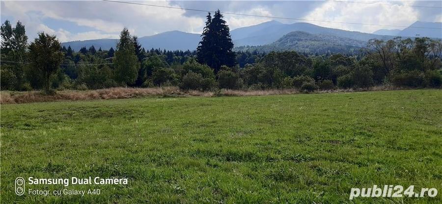 Teren de 700 mp, în Sâmbăta de Sus