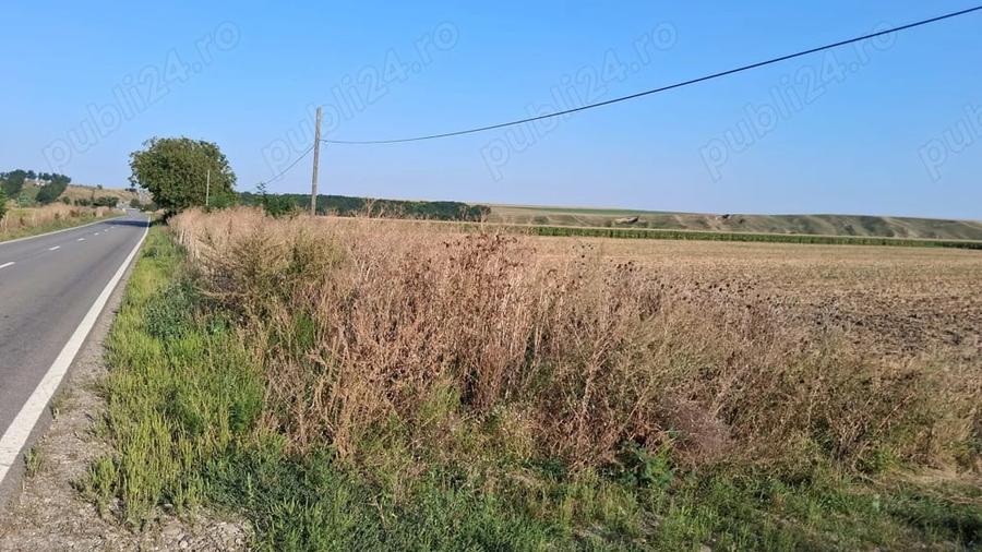 Teren de 28500 mp, în Central