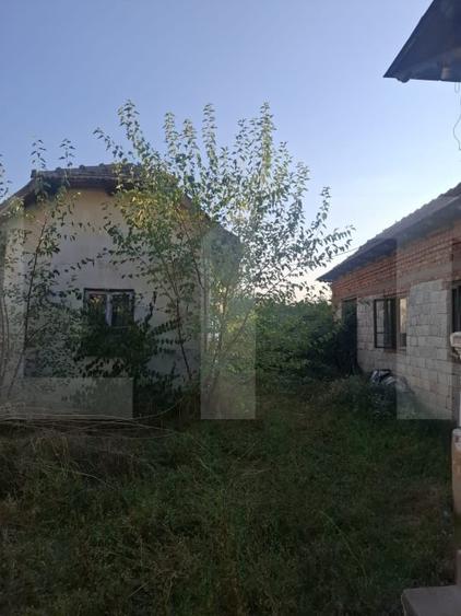 Casă individuală cu 4 camere cu Teren 5038 Mp în Arcești