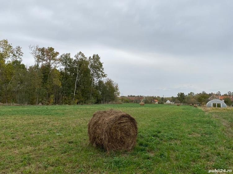 Teren de 4990 mp, în Duboz