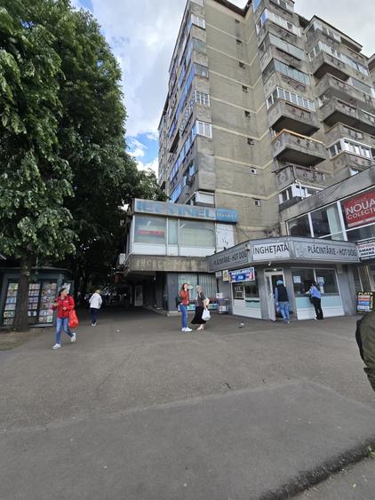 Spațiu comercial, de 330 mp, în Rogerius