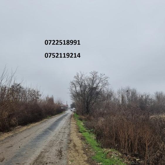 Teren Construcții extravilan de 4500 mp, în Palanca