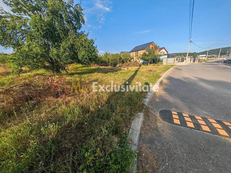 Teren de 1600 mp, în Central