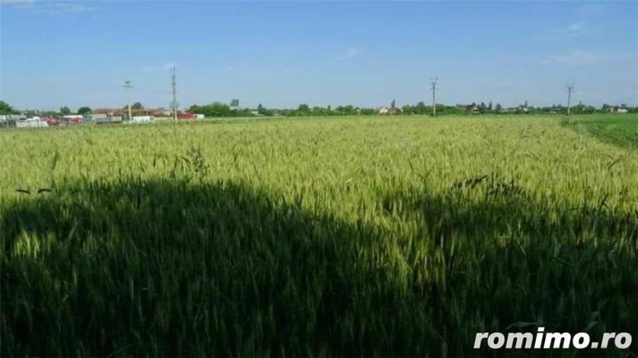 Teren de 3450 mp, în Dârza