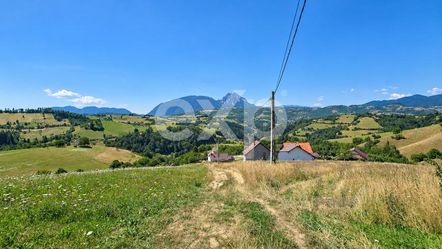 Teren agricol extravilan de 1061 mp, în Poiana Mărului