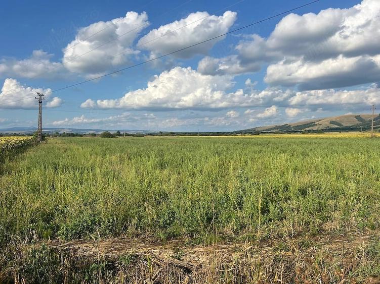 Teren de 73000 mp, în Lunca Ozunului