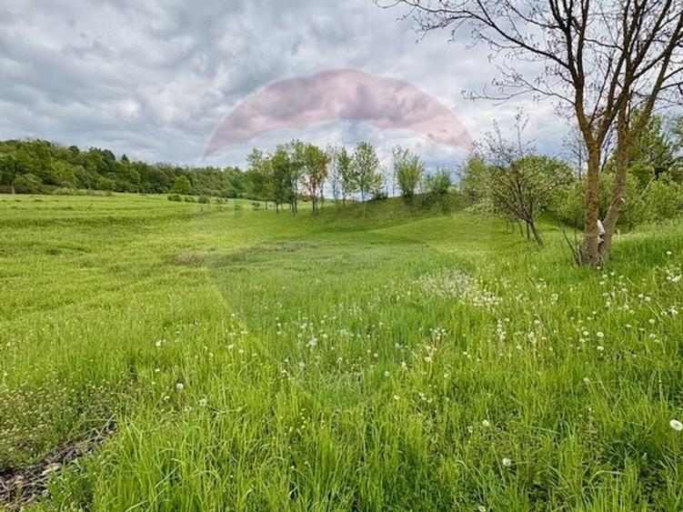 Teren agricol extravilan de 20876 mp, în Breb