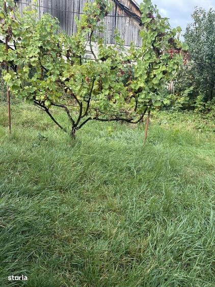 Casă cu 4 camere cu Teren 850 Mp în Central