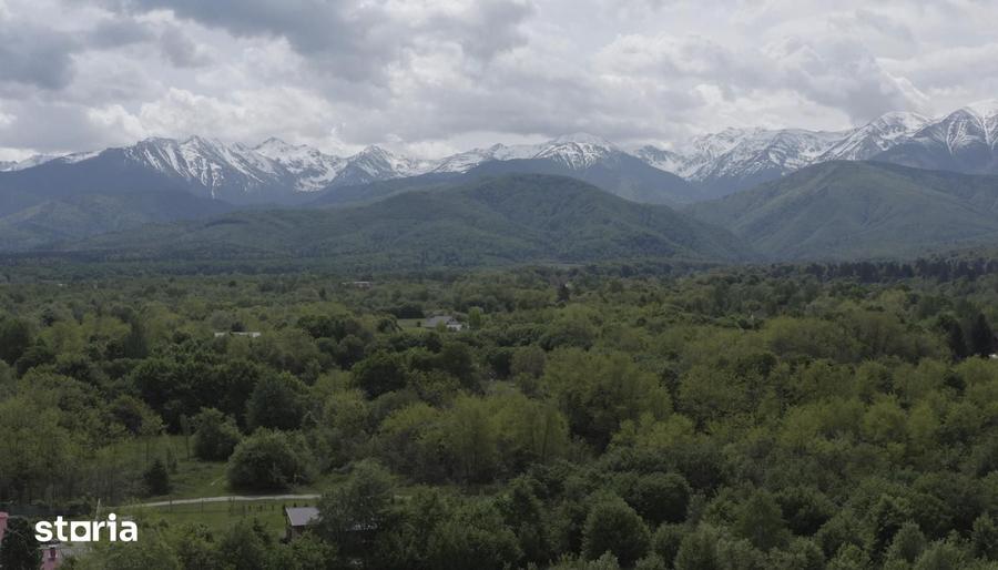 Casă cu Teren 4600 Mp în Central