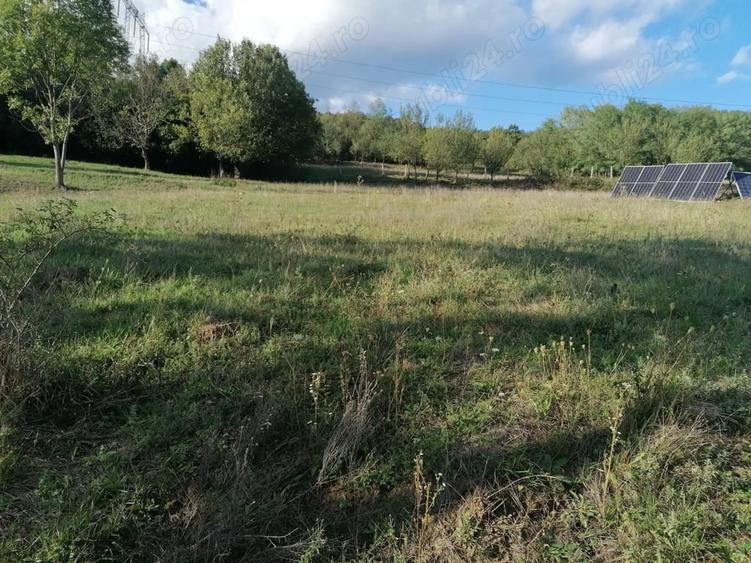 Teren de 6000 mp, în Bobâlna