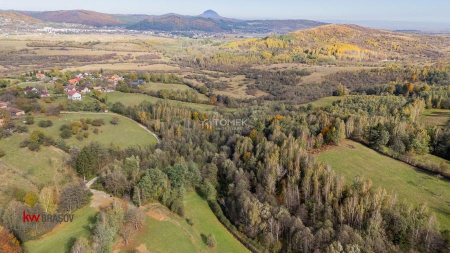 Teren Construcții intravilan de 37723 mp, în Tohănița