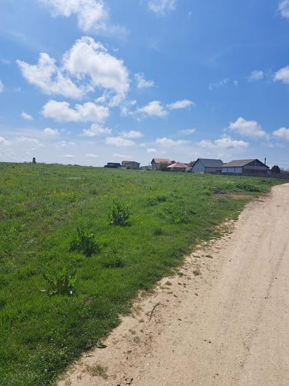 Teren Construcții intravilan de 16614 mp, în Lazu