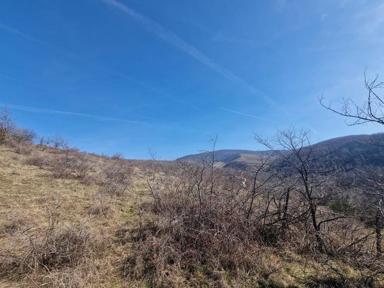 Teren agricol extravilan de 23400 mp, în Cuvin