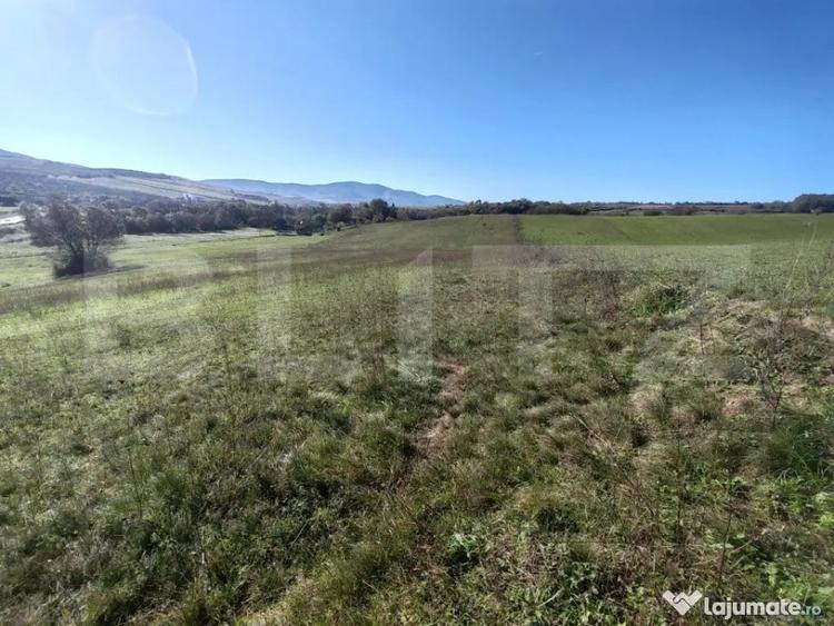 Teren de 2900 mp, în Central