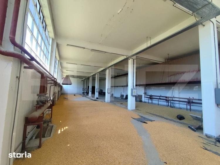 Teren de 32000 mp, în Stoicănești