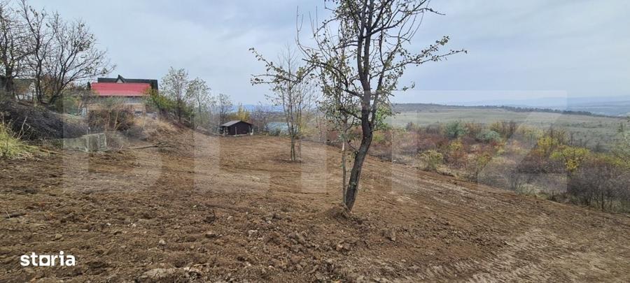 Teren Visan - str. Regina Maria - 900 mp - 2