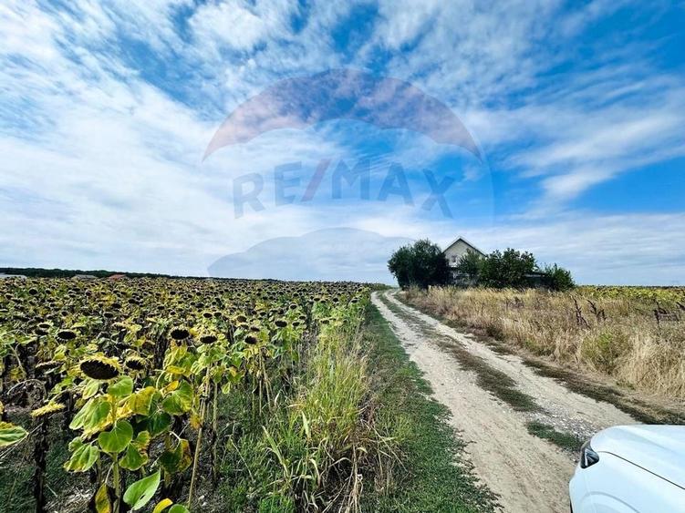 Teren Construcții intravilan de 14863 mp, în Ciorogârla