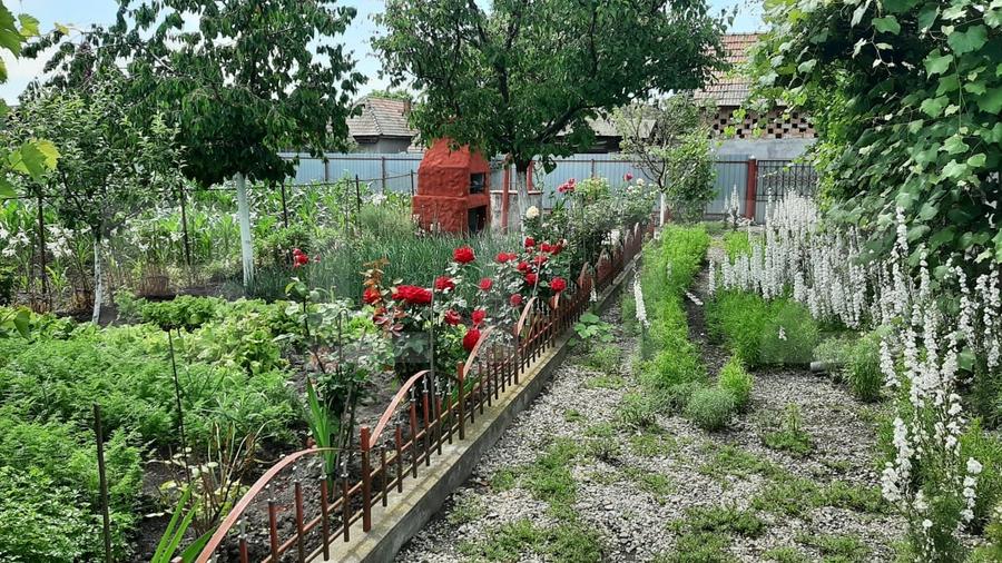 Casă individuală cu 3 camere cu Teren 550 Mp în Chețani