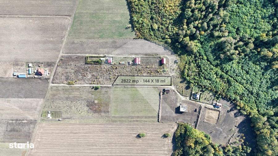 Refugiu la marginea padurii 2822 mp de liniste in Cocani. - 11