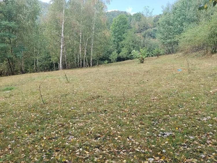 Teren de 6739 mp, în Vale