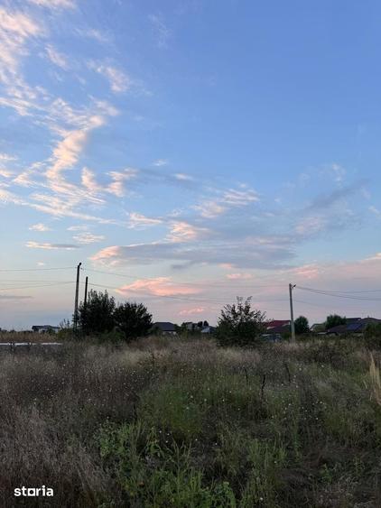 Teren intravilan de vanzare Olteni, Domnesti - 3