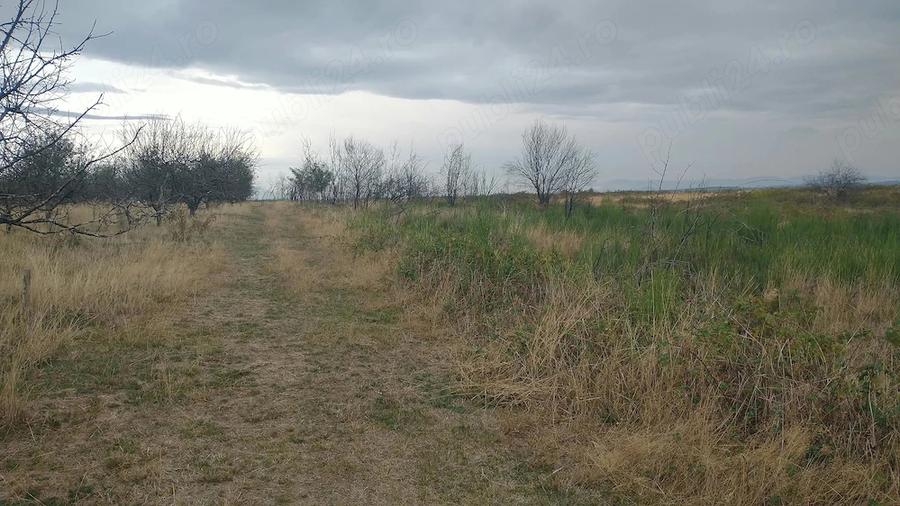 Teren de 844 mp, în Lăpuș