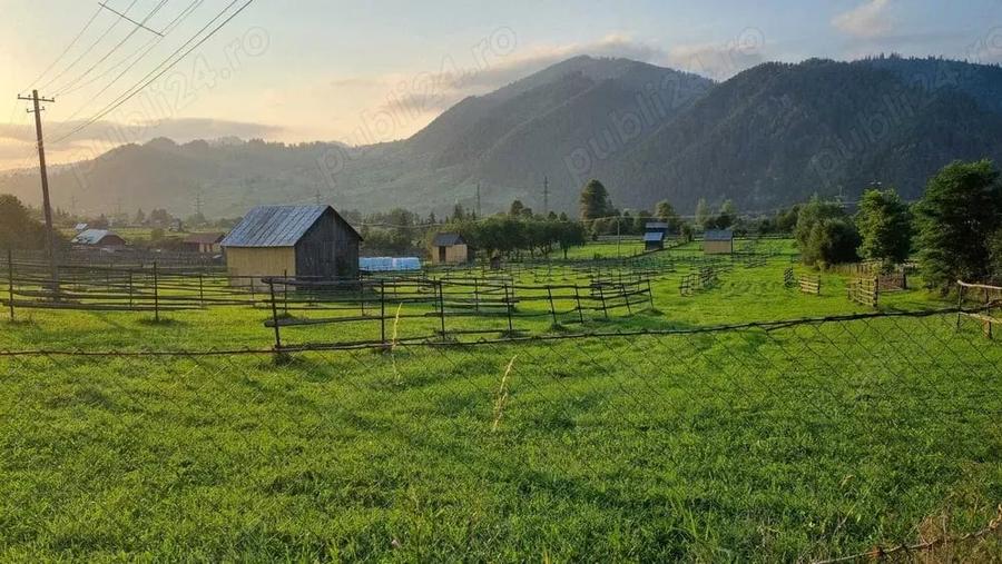 Teren de 1000 mp, în Pojorâta