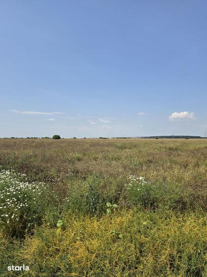 Teren de 2600 mp, în Ștefăneștii de Jos