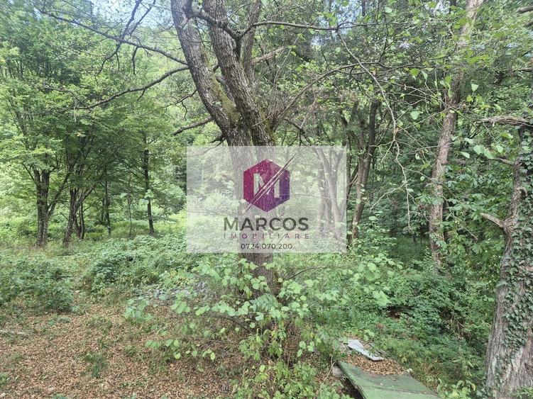 Teren Construcții intravilan de 1000 mp, în Văliug