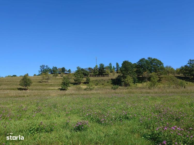 Teren de 8757 mp, în Luncoiu de Jos