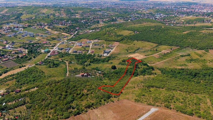 Teren Construcții intravilan de 10391 mp, în Săldăbagiu de Munte