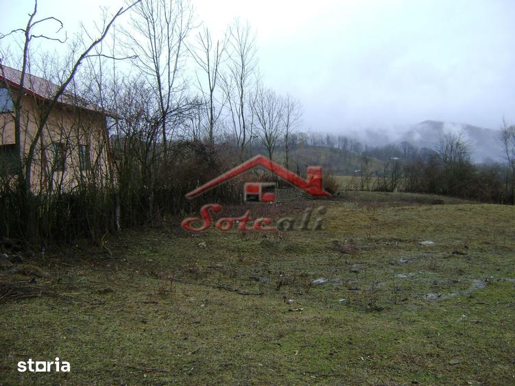 Teren de vanzare in Provita de jos - 4